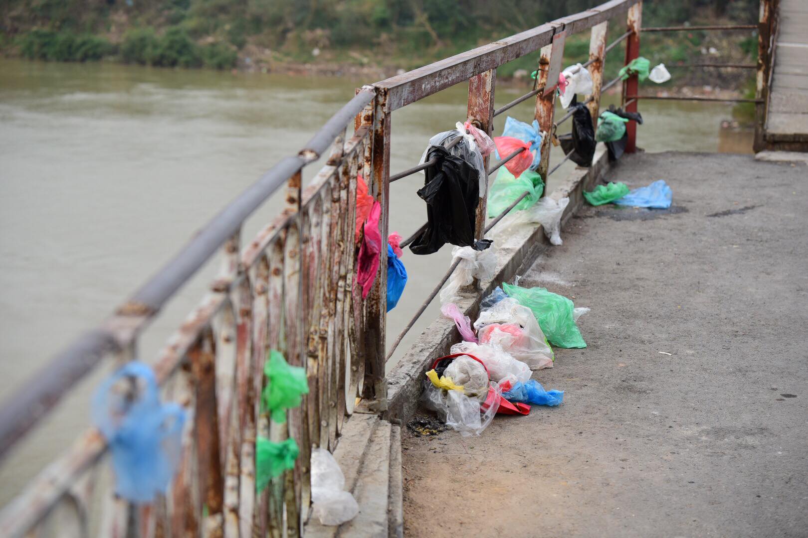 Tết ông Táo: Rét cắt da, em bé theo cha đi thả cá chép sáng sớm